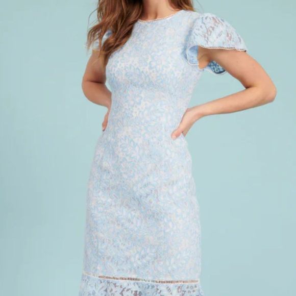 Rachel Parcell Dresses & Skirts - Rachel Parcell Flared Lace Midi Sheath Dress in Celeste Blue White Medium